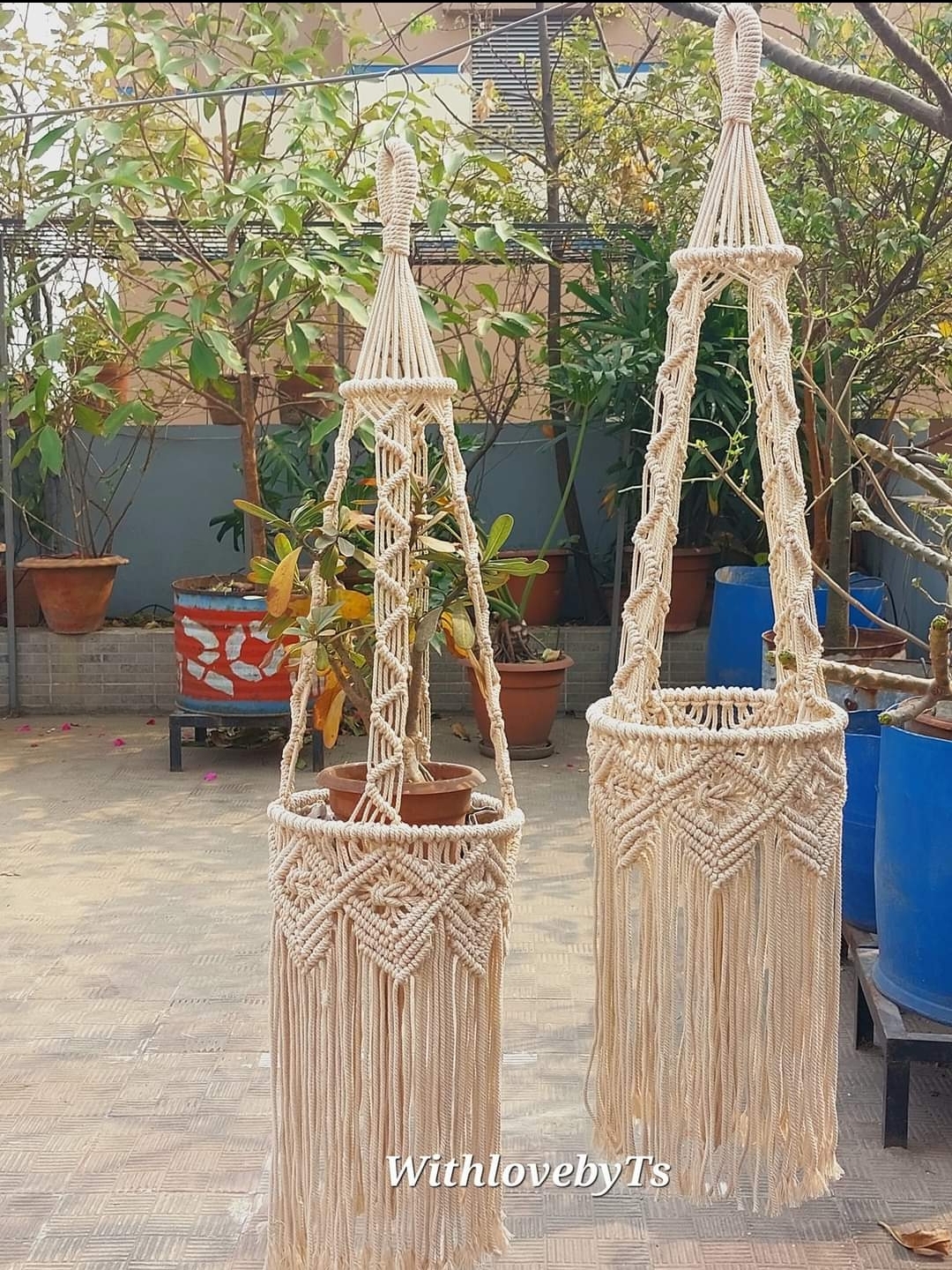 Featured Plant Hanger